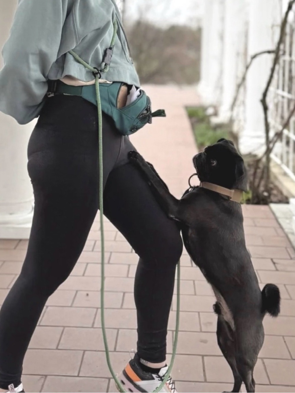 Litto Howler Adjustable 3 in 1 Handsfree Leash - Picture 2 of 8